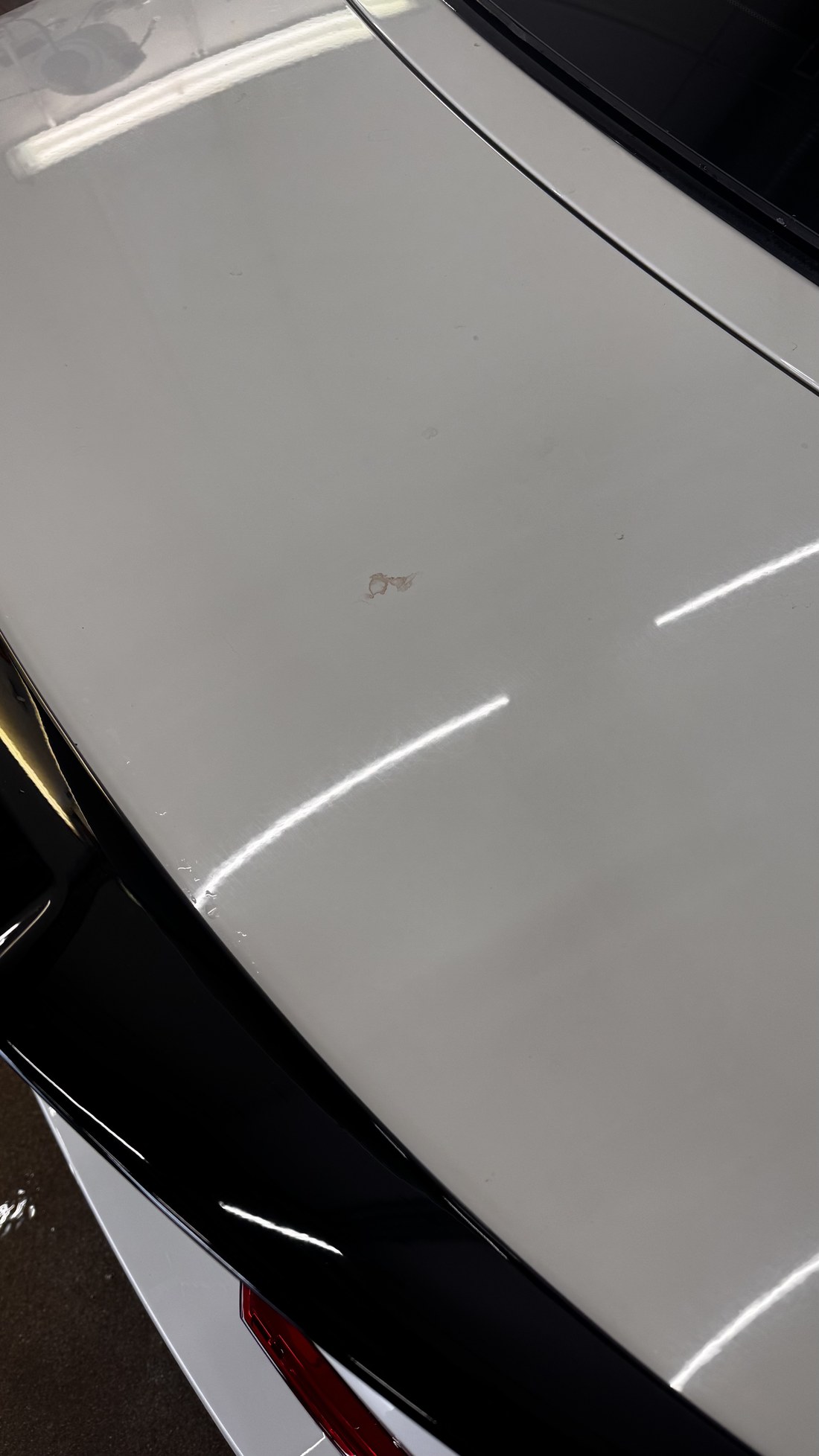BMW 428i märg tagaluuk pärast šampoonipesu, lae valgusriba peegeldub pinnal