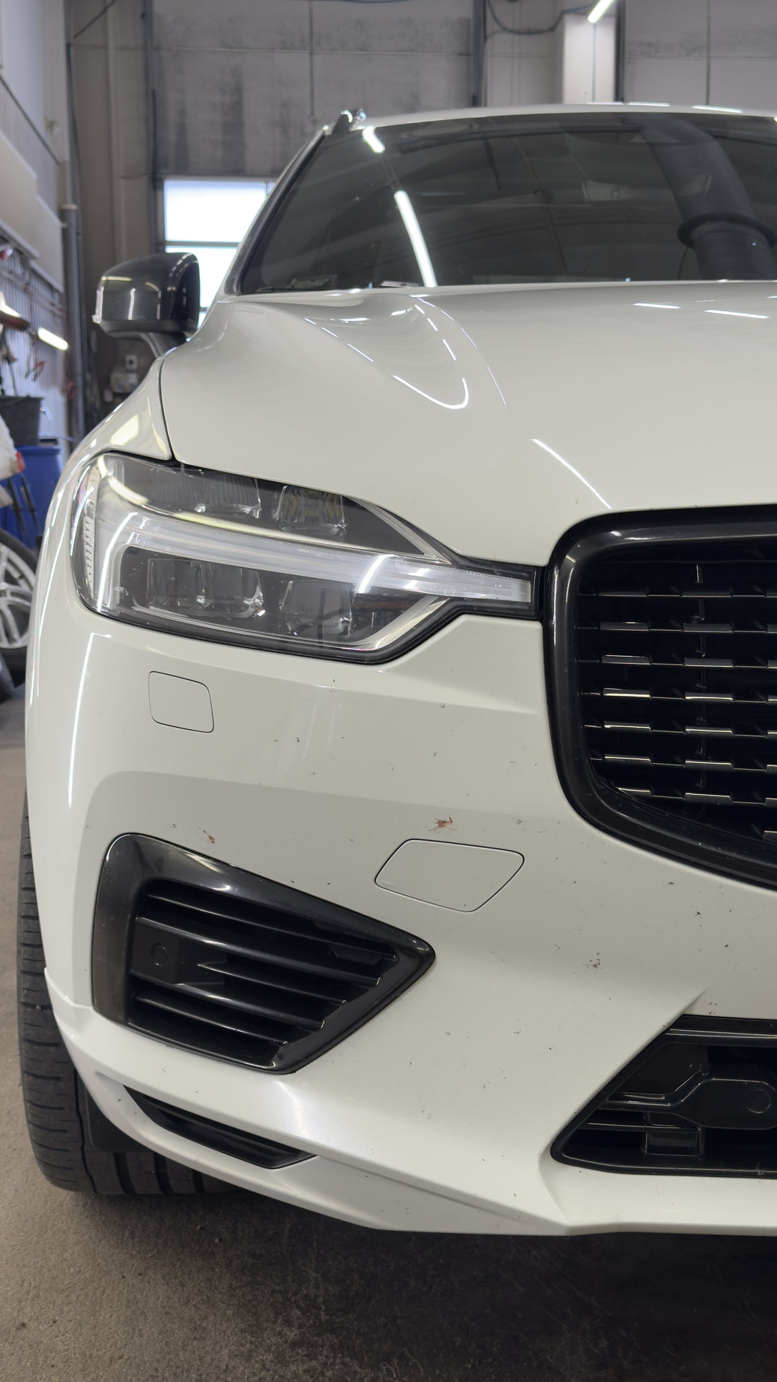 Putukajäljed Volvo XC60 esistangel enne pesu